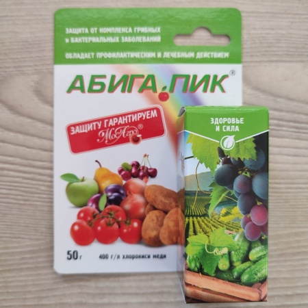 АБИГА-ПИК