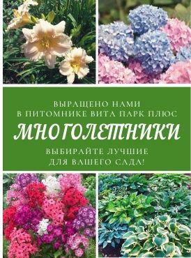 Многолетники Многолетники