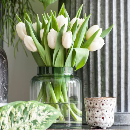 Тюльпан Snowboard3