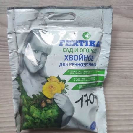Фертика хвойное