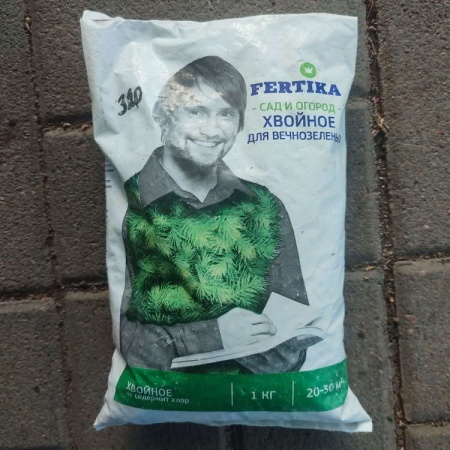 Фертика хвойное Весна Фертика хвойное Весна