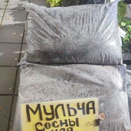 Мульча сосны