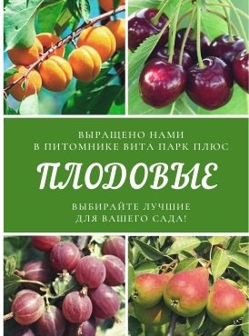 Плодовые Плодовые