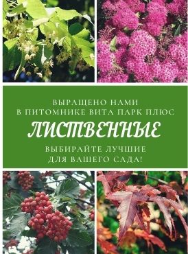 Лиственные Лиственные