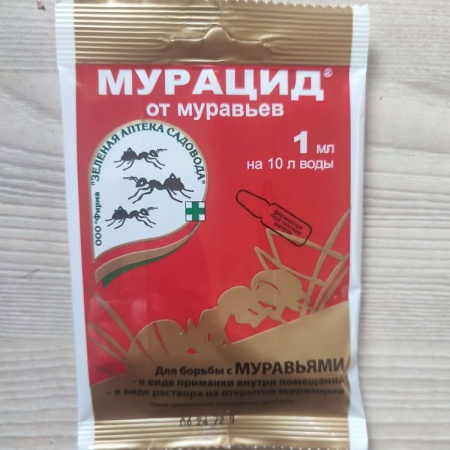 Мурацид Мурацид