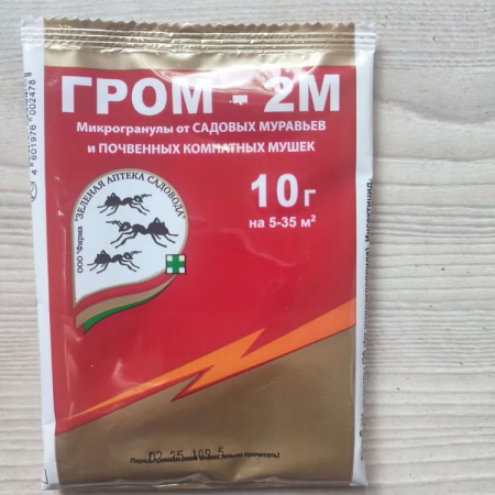 Гром-2 Гром-2