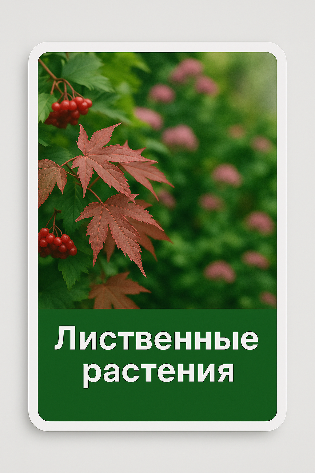 Лиственные