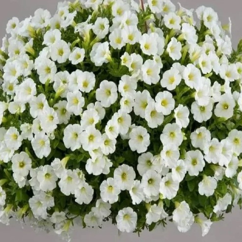 Кашпо микс4
