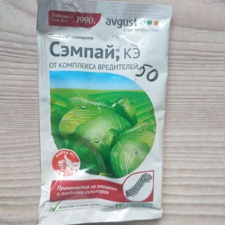 Сэмпай Сэмпай
