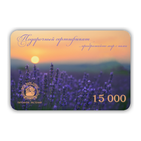 подарочная карта на 15000