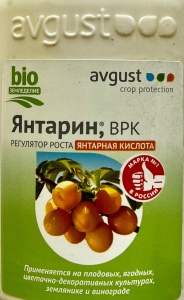 IMG_0175 IMG_0175