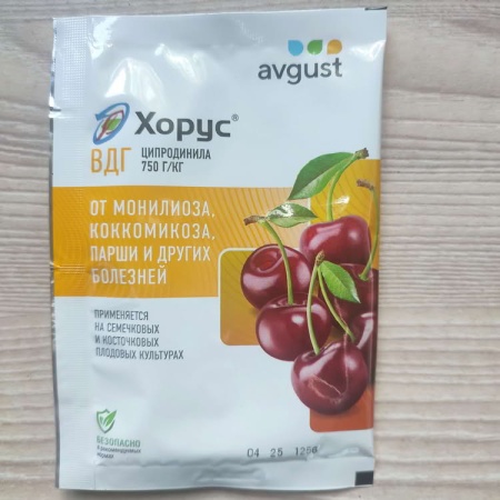 Хорус
