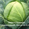 капуста Надежда