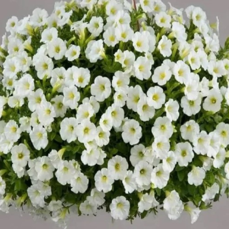 Кашпо микс4