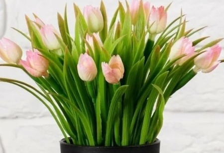 кашпотюльпаны кашпотюльпаны