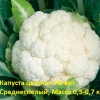 капуста цветная Регент
