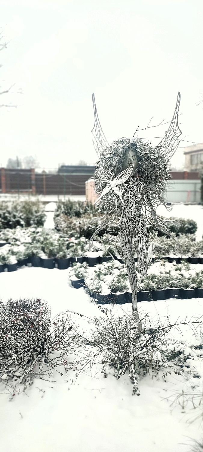 Растения уже снегом укрыты, а мы всё ещё для Вас открыты!