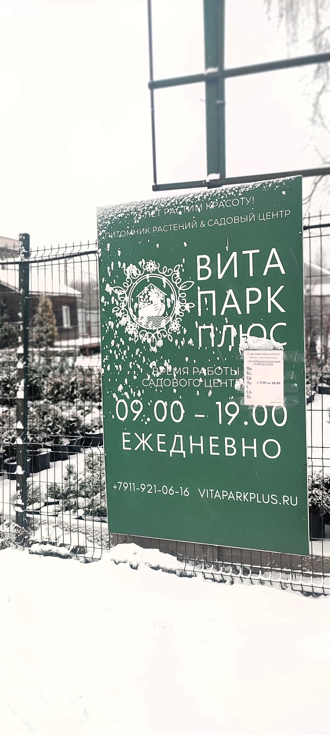 Растения уже снегом укрыты, а мы всё ещё для Вас открыты!