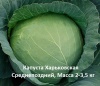 капуста Харьковская