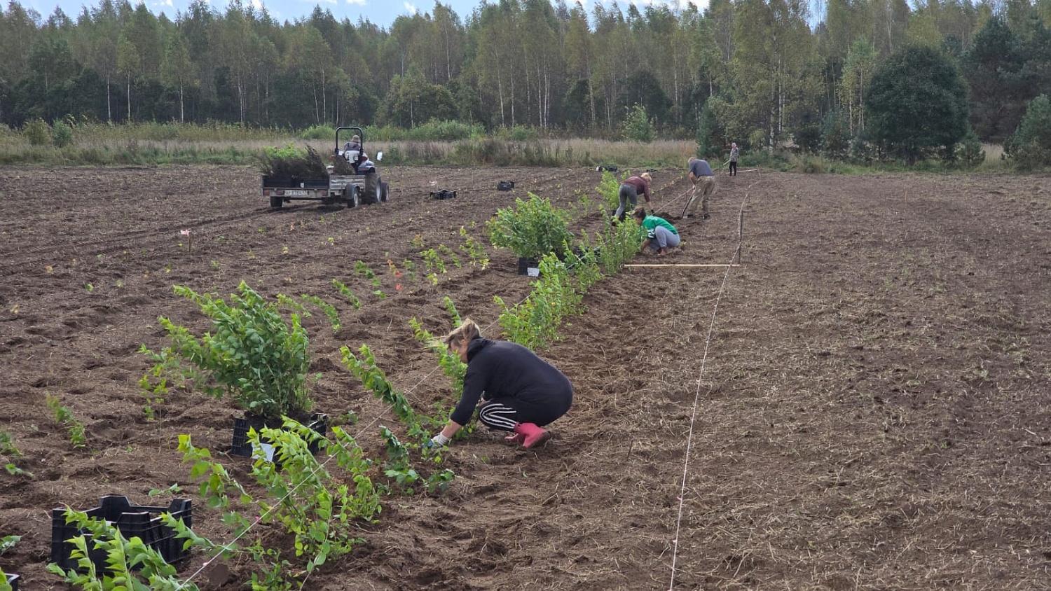 Где рождаются наши продукты — Псков в кадре